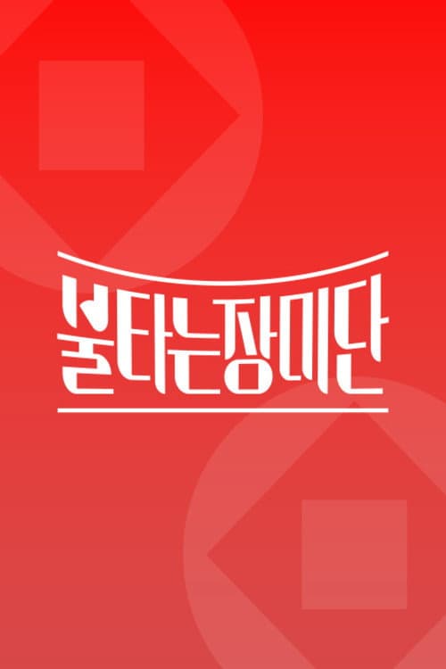 Постер: 불타는 장미단