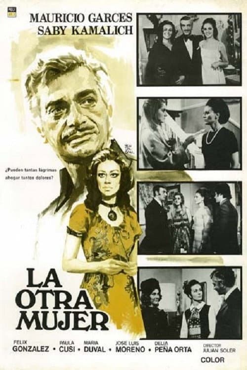 Постер: La otra mujer