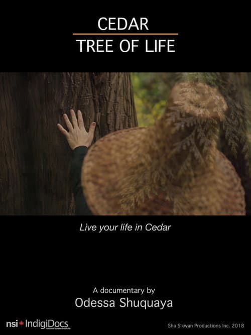 Постер: Cedar Tree of Life