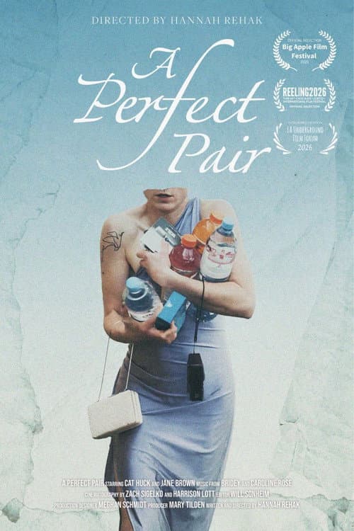 Постер: A Perfect Pair
