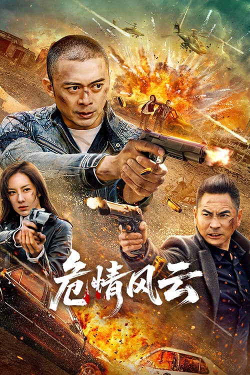 Постер: 危情风云