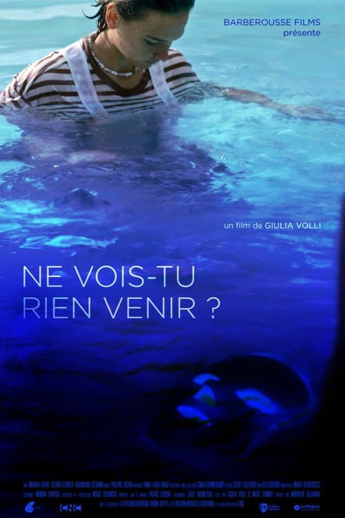 Постер: Ne vois-tu rien venir ?