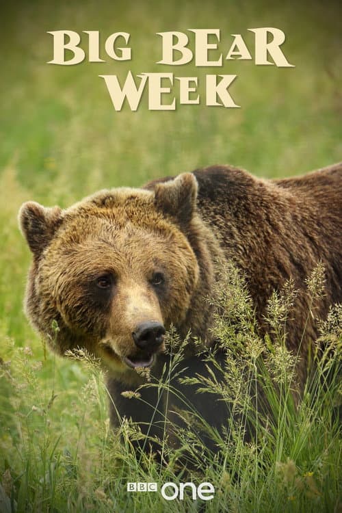 Постер: Big Bear Week