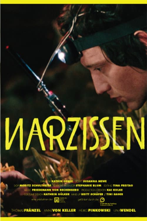 Постер: Narzissen