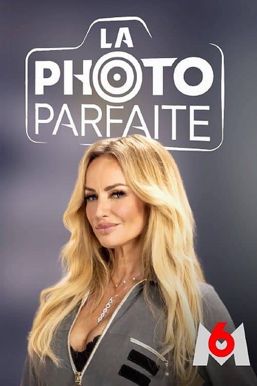 Постер: La Photo parfaite