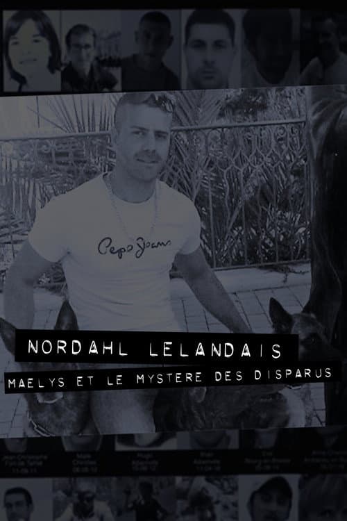 Постер: Dans la tête de Nordahl Lelandais