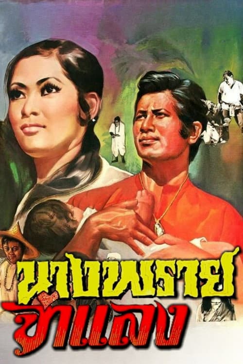 Постер: นางพรายจำแลง