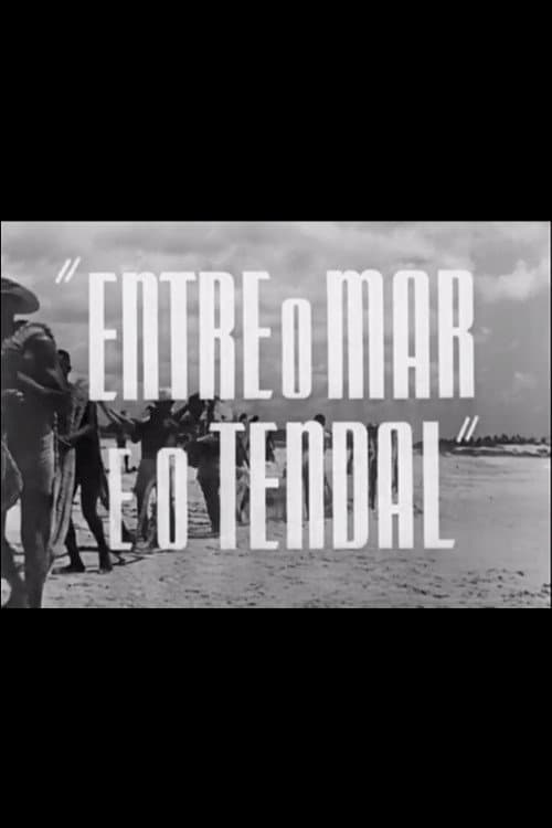 Постер: Entre o Mar e o Tendal