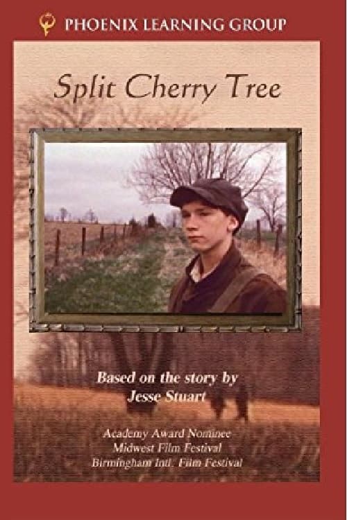 Постер: Split Cherry Tree
