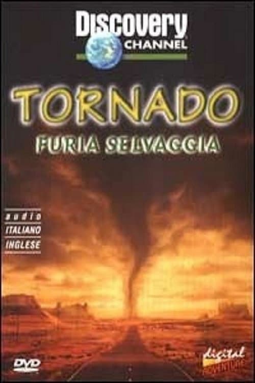 Постер: Storm forces tornadoes