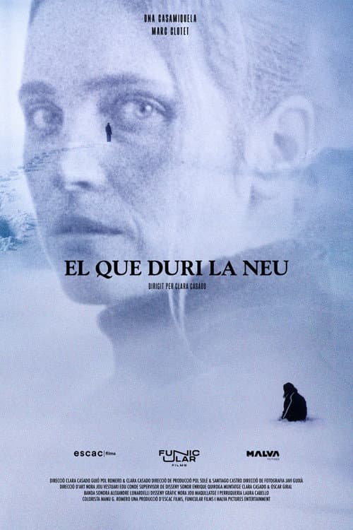 Постер: El que duri la neu