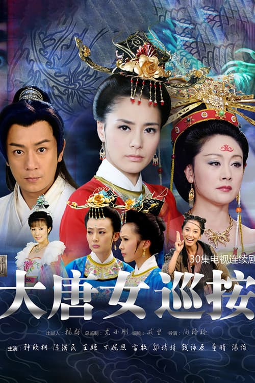 Постер: 大唐女巡按