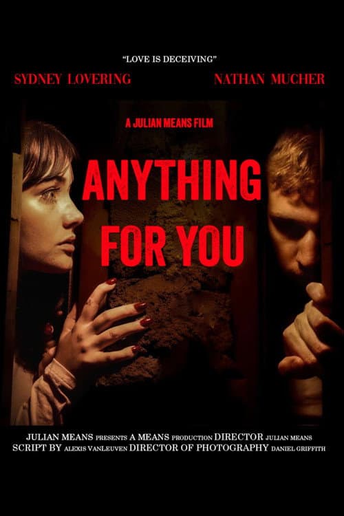 Постер: Anything for You