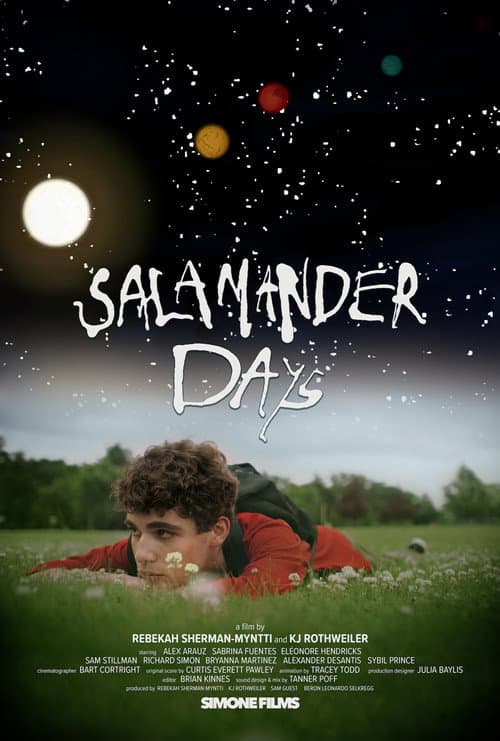 Постер: Salamander Days