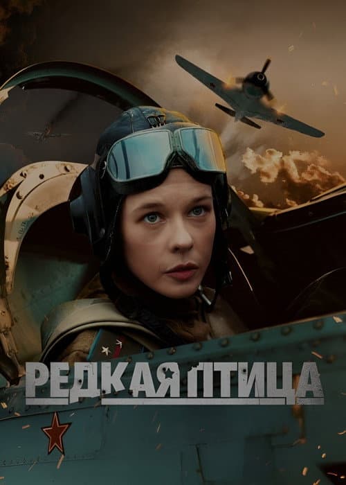 Постер: Редкая птица