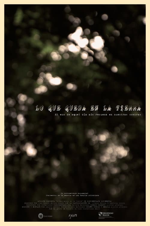 Постер: Lo Que Queda en la Tierra