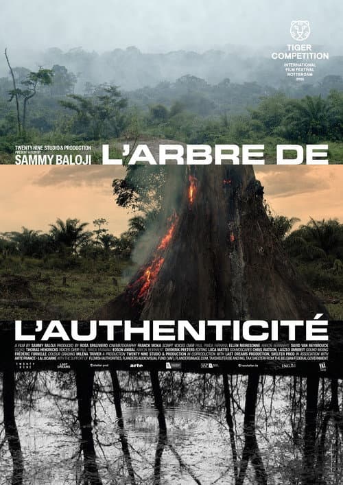 Постер: L'arbre de l'authenticité