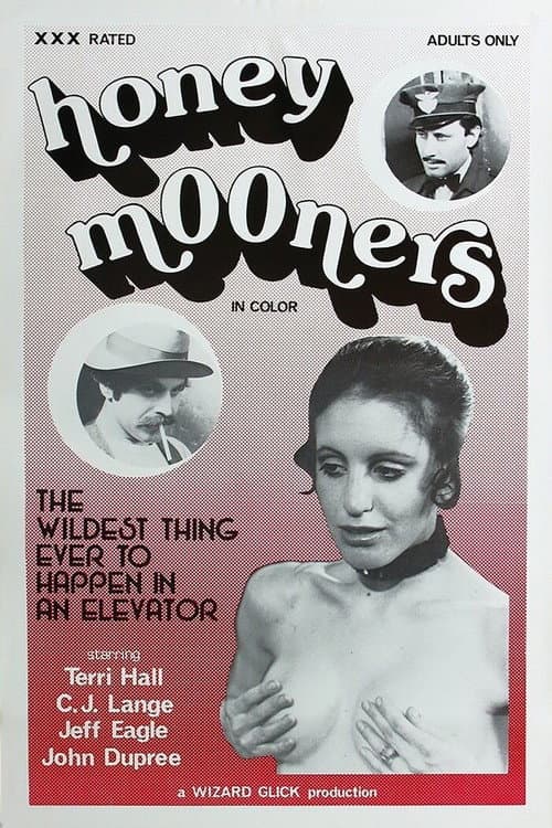 Постер: The Honeymooners