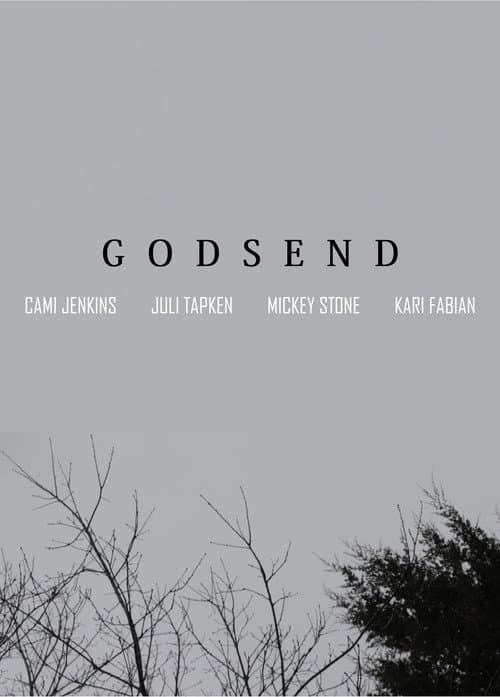 Постер: Godsend