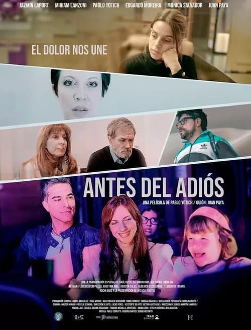 Постер: Antes del adiós