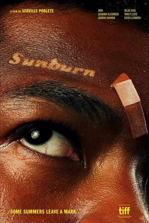Постер: Sunburn