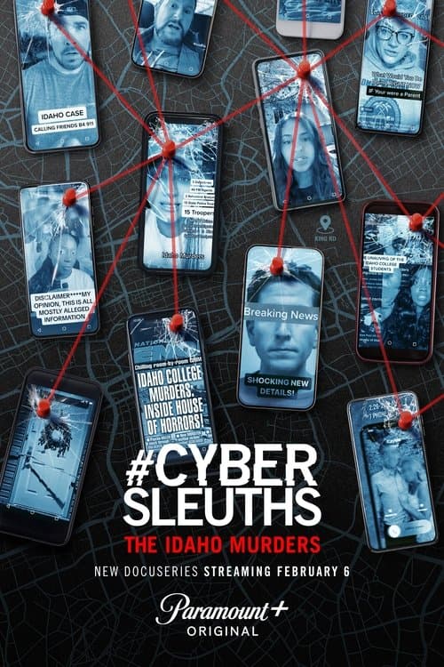 Постер: #CyberSleuths: The Idaho Murders