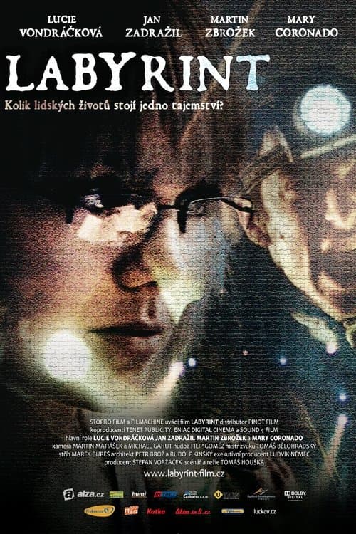 Постер: Labyrint