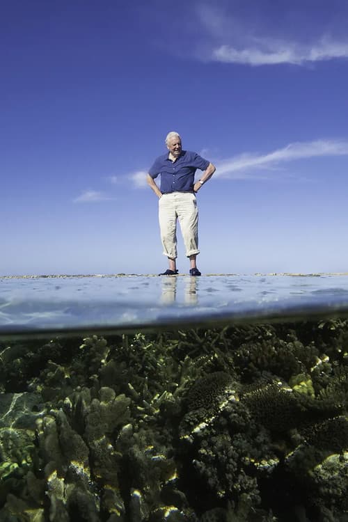 Постер: Reef Diaries
