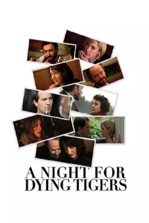 Постер: A Night for Dying Tigers