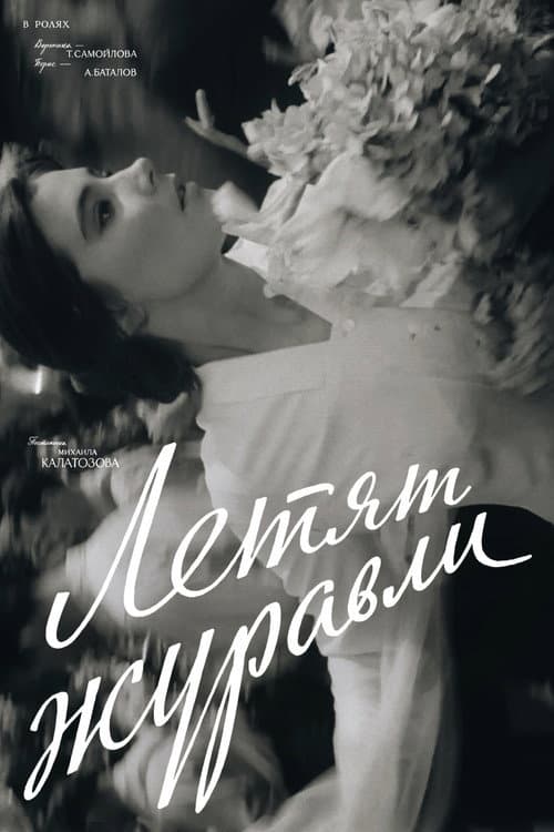 Кадр 2