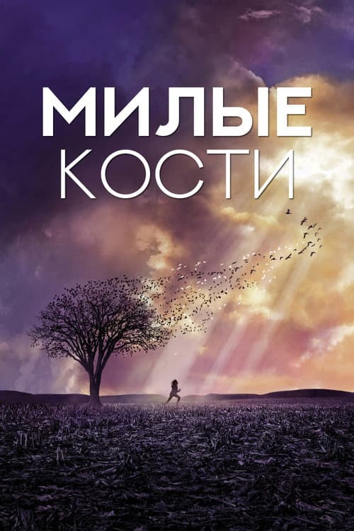 Кадр 4