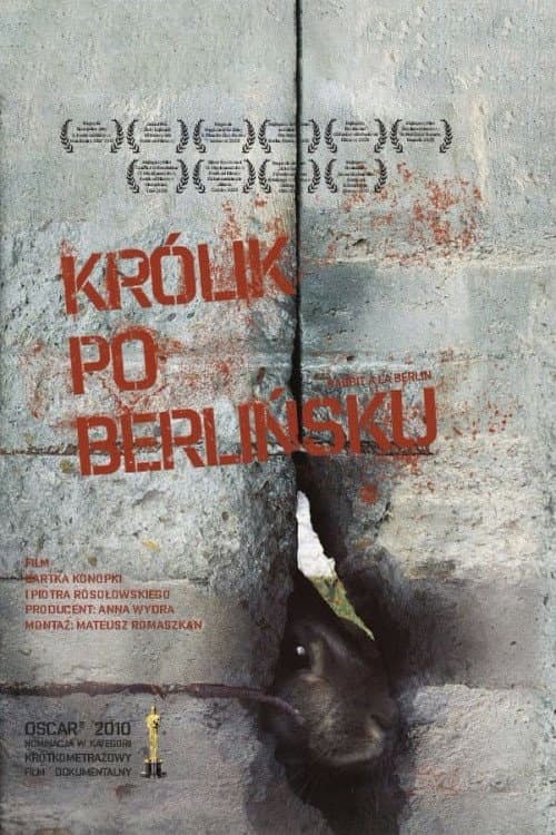 Постер: Królik po berlińsku
