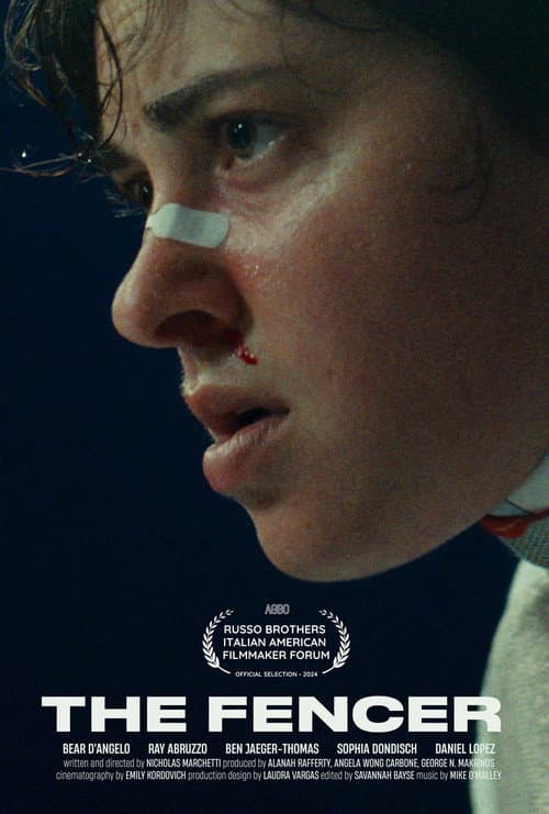 Постер: The Fencer