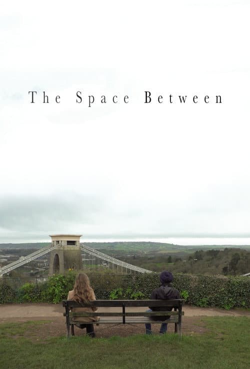Постер: The Space Between