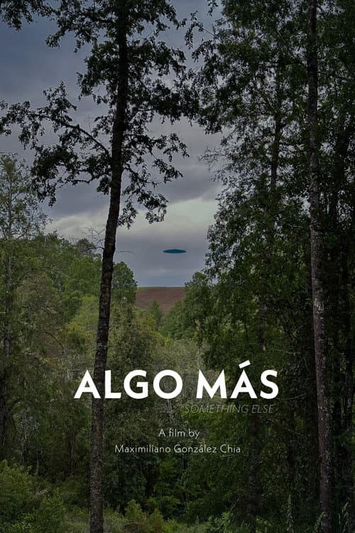 Постер: Algo Más