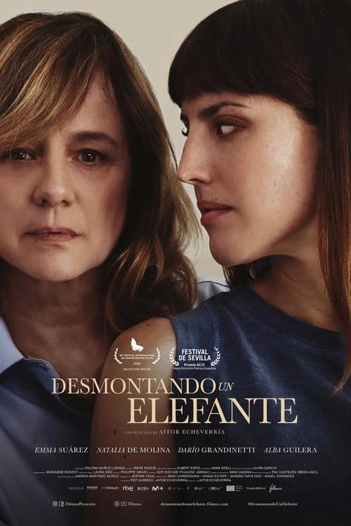 Постер: Desmontando un elefante