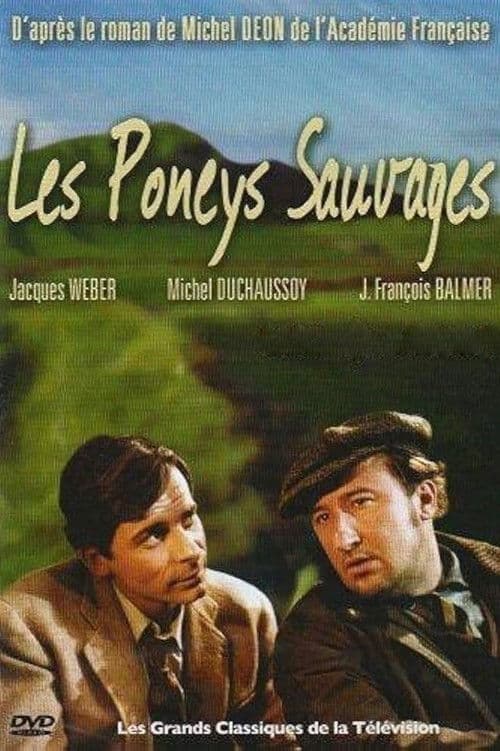 Постер: Les Poneys sauvages