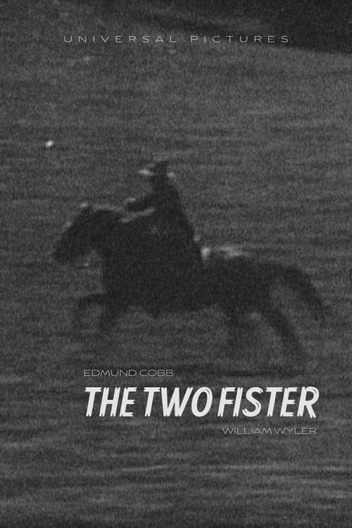 Постер: The Two Fister