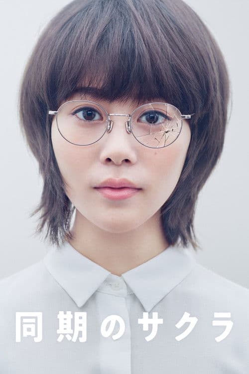Постер: 同期のサクラ