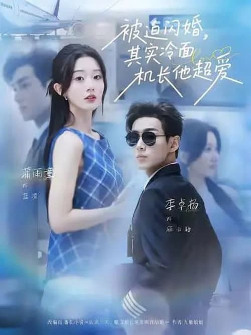 Постер: 被迫闪婚,其实冷面机长他超爱