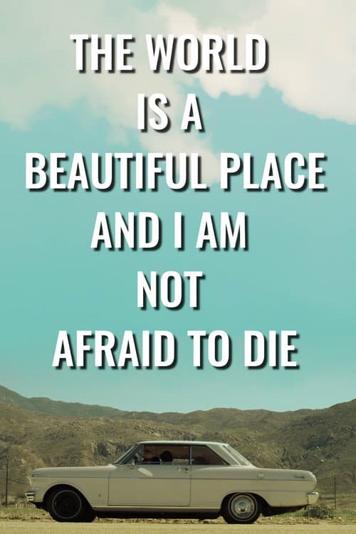 Постер: The World is a Beautiful Place and I Am Not Afraid to Die