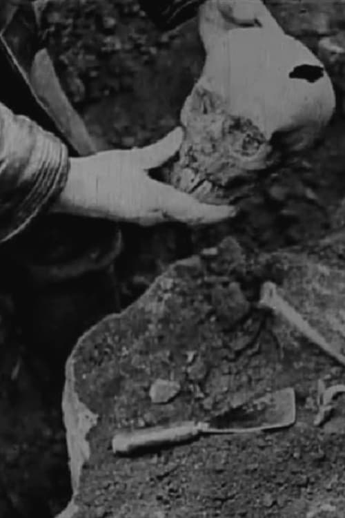 Постер: Histoire du soldat inconnu