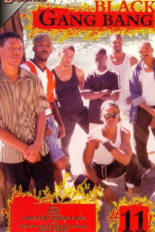 Постер: Black Gang Bang 11