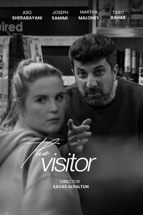 Постер: The Visitor