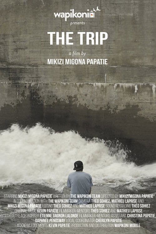 Постер: The Trip