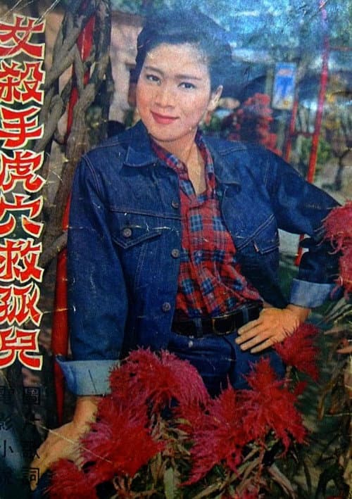 Постер: 女殺手虎穴救孤兒