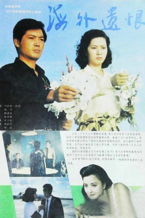 Постер: 海外遗恨