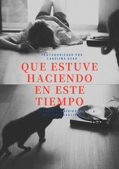 Постер: Que estuve haciendo en este tiempo