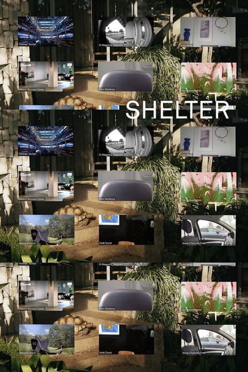 Постер: Shelter