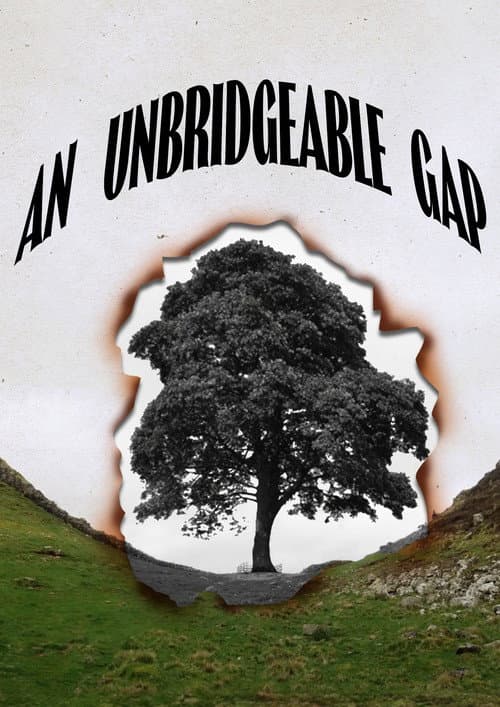 Постер: An Unbridgeable Gap
